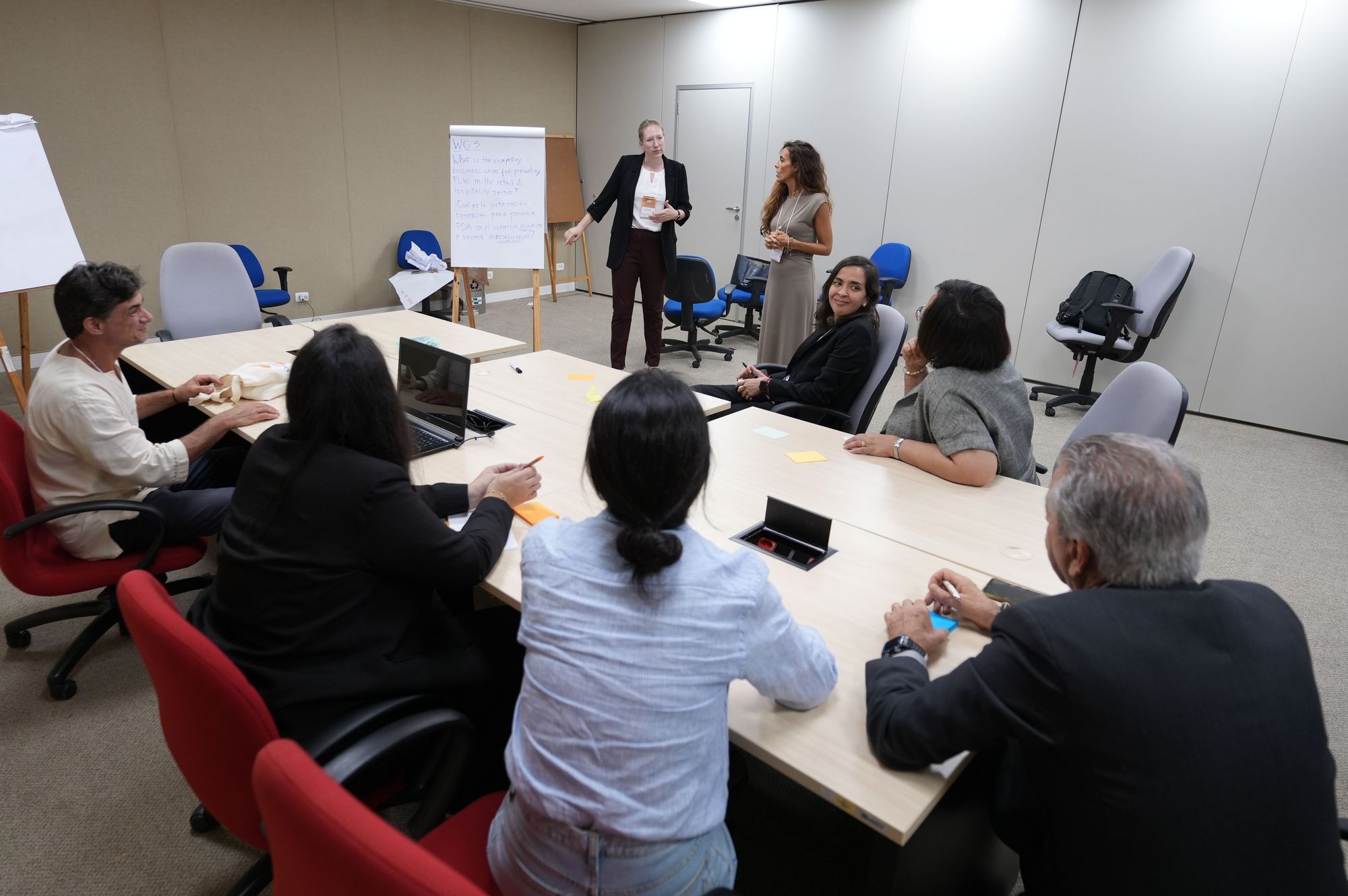 Ms Erin McCluskey (WRAP, UK) facilitates a working group 3 subgroup.