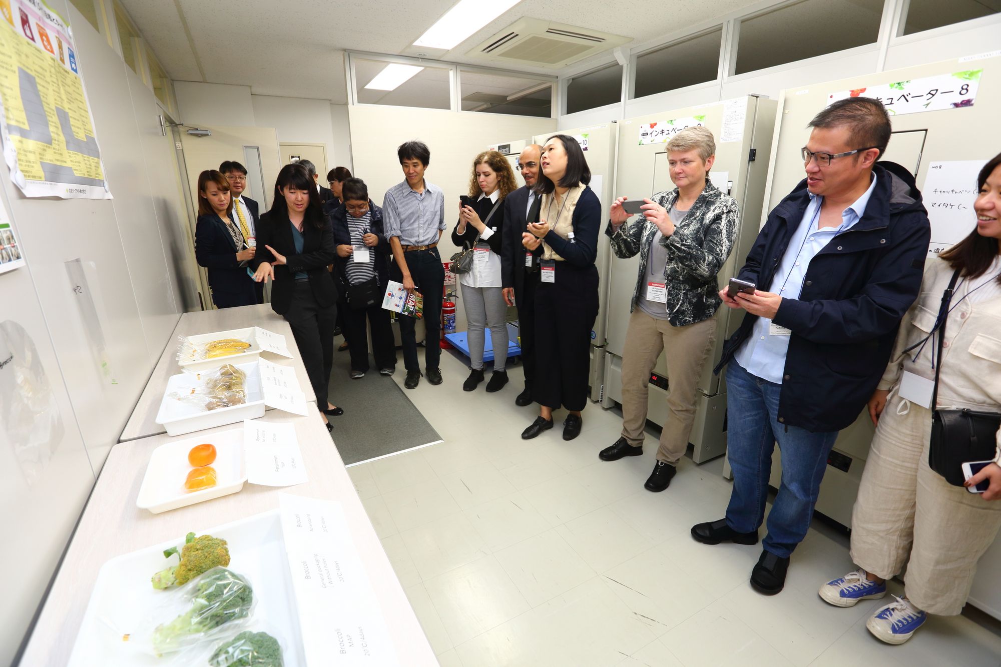 Demonstration objects to compare the impact of different packaging options on specific food items at Sumitomo Bakelite Co. Ltd.