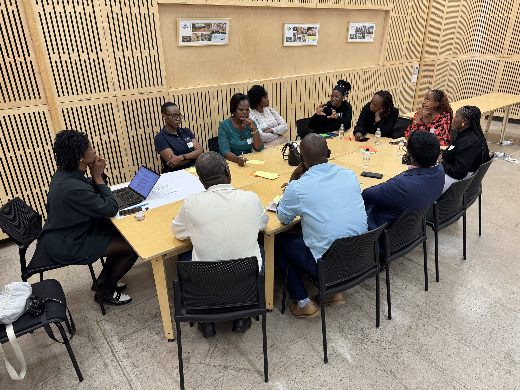 Sustainable Development Solution Network (SDSN, France) facilitated break out discussion #1