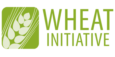 Wheat Initiative Logo