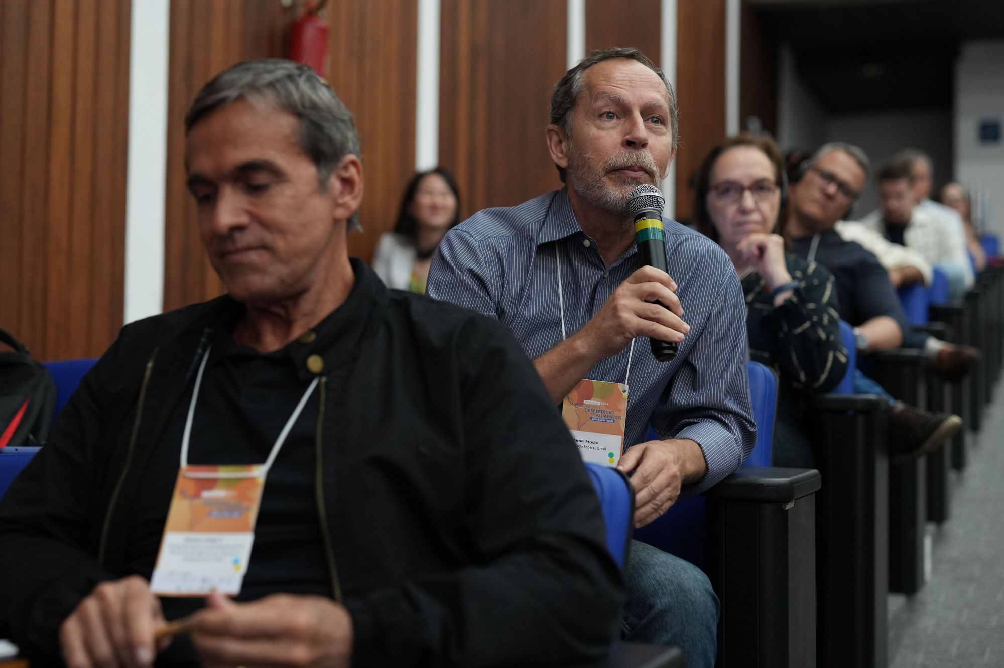 Comments after the panel presentations by the representative of the Brazilian Federal Senate.