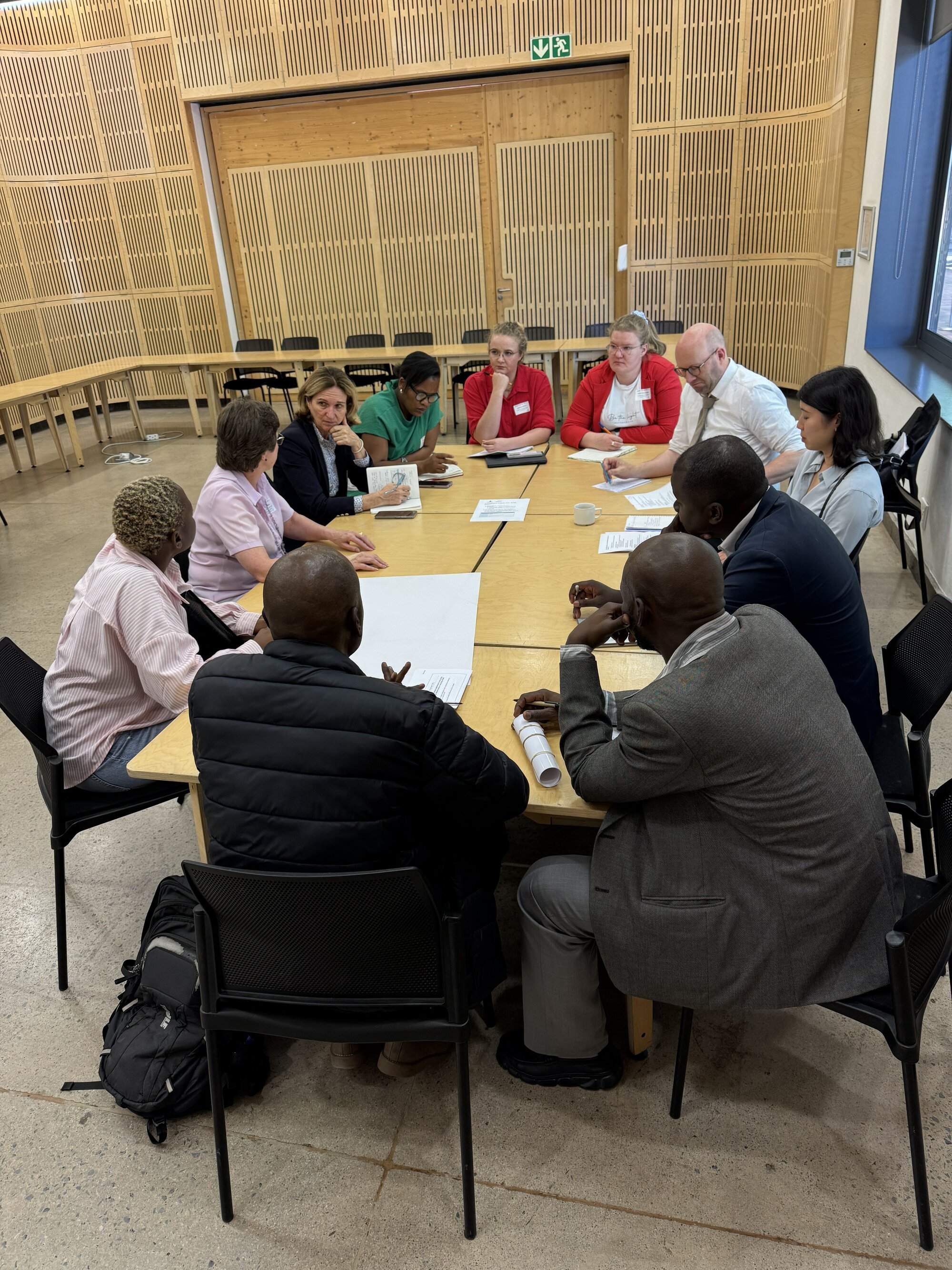 Sustainable Development Solution Network (SDSN, France) facilitated break out discussion #1