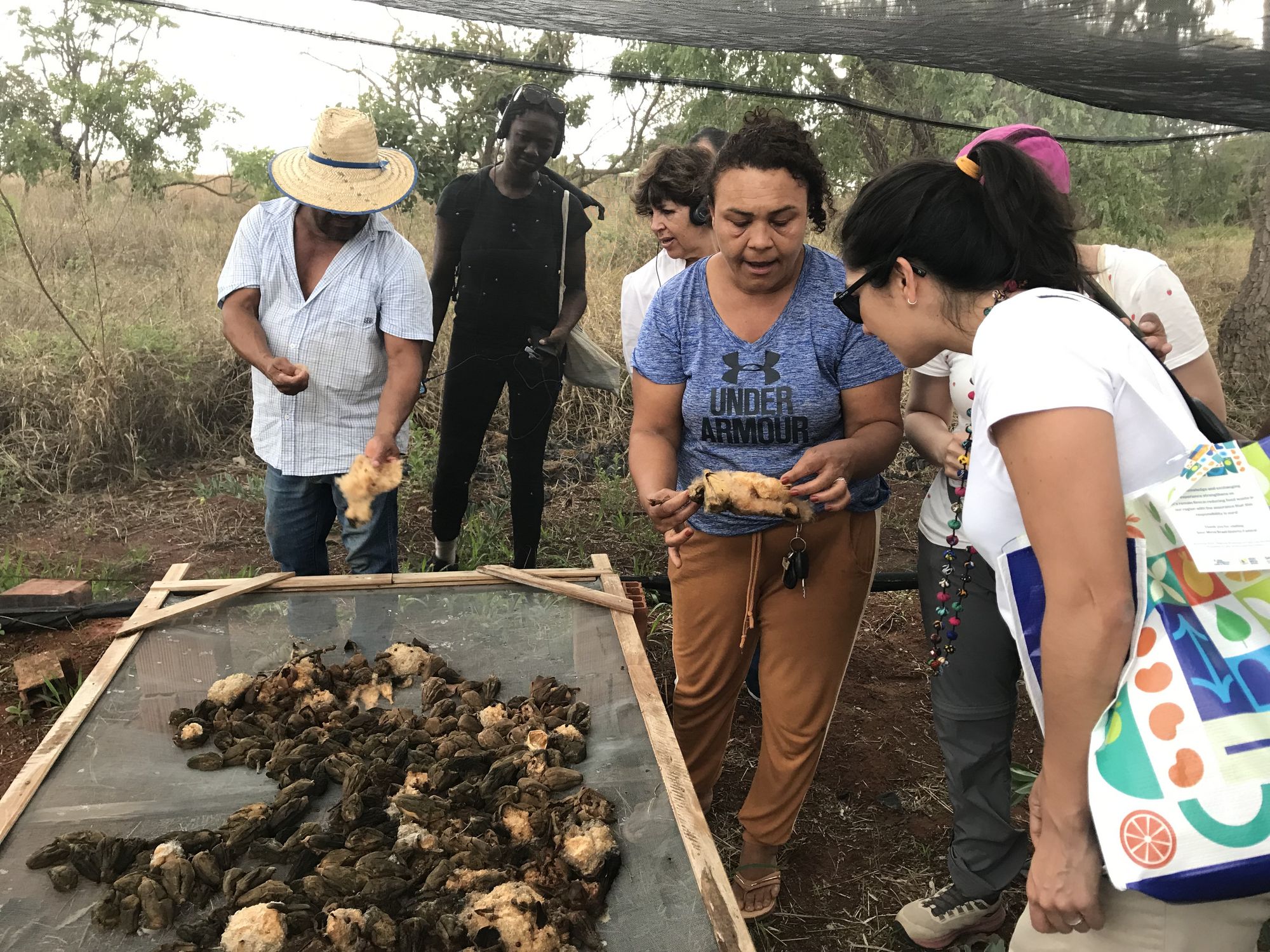 We also visited the Associação dos Produtores Agroecológicos do Alto São Bartolomeu and received interesting information on local produce and its value.