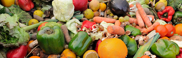 The picture shows wasted fruits and vegetables.
